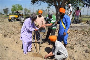 Village residents watering the newly planted sapling.