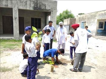 Students participating in the tree plantation exercise.