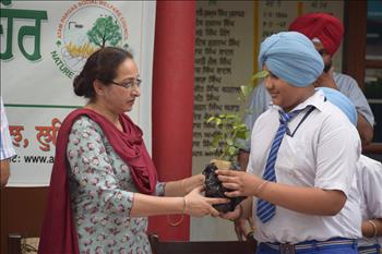 A school boy receiving the sapling from the chief guest.