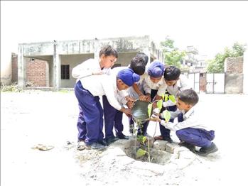School boys watering the newly planted trees.