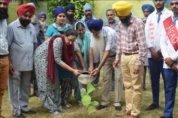 The dignitaries officially launching the tree plantation campaign by planting a tree.