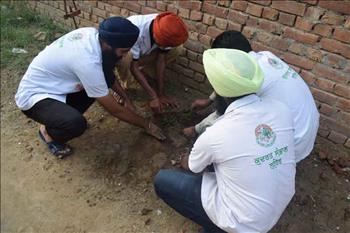 Nature Care Movement in its practical phase through Nature Care volunteers.