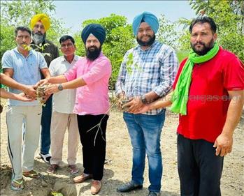 Triveni Plantation