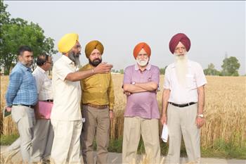 Dr. Varinderpal Singh in discussion with Dr. Jasbir Singh, Director Agriculture and Dr. Gulzar Singh, Executive Director, RGR Cell, Ratan Tata Trust