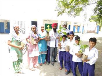 School staff members and students with the plantlets.