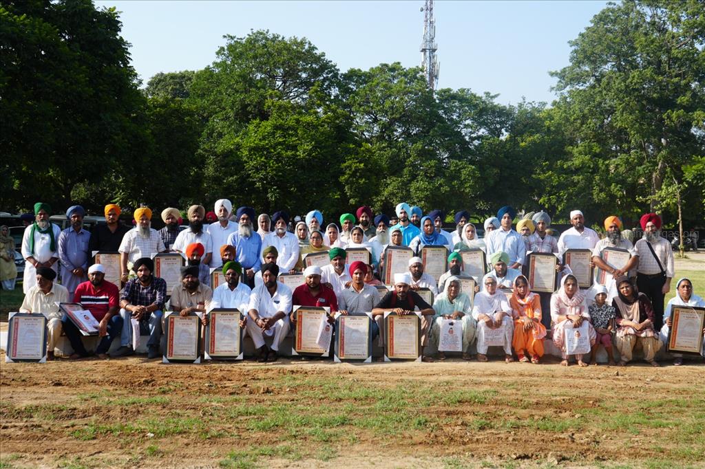 Triveni plantation in the memory of Indian Farmers' Agitation 2020-21